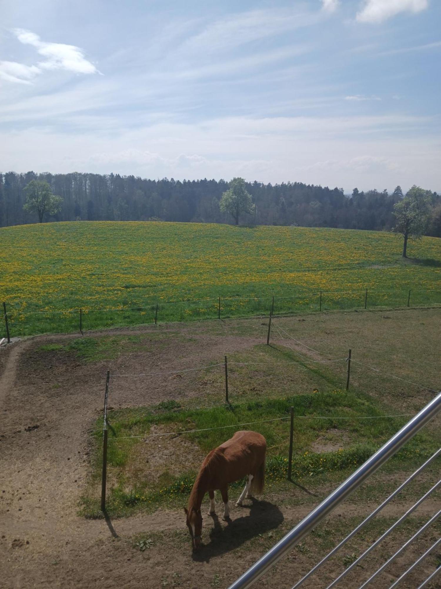 Wohnung Mit Ausblick Ravensburg Exterior foto